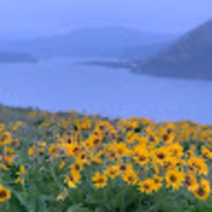 Meet your Posher, Esme